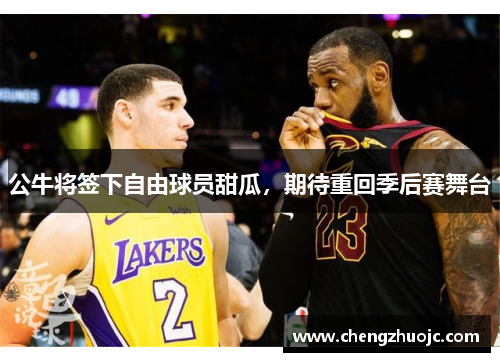 公牛将签下自由球员甜瓜，期待重回季后赛舞台