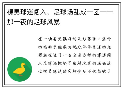 裸男球迷闯入，足球场乱成一团——那一夜的足球风暴